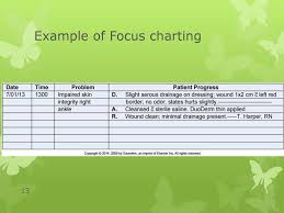 Documenting And Reporting Ppt Download