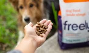 2 kontakti ettevõttele nature's pet market of ashland. Best Friends Pet Hotels In Ashland Sudbury Serving Freely Pet Foods Framingham Source