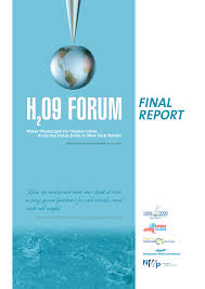 FINAL REPORT