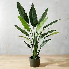 Birdofparadisesh17 Fake Plants Decor Faux Plants Birds Of Paradise Plant