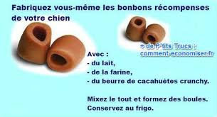 10 Astuces Simples Pour Economiser De L Argent Quand On A Un Chien Chien Les Croquettes Trucs De Chat