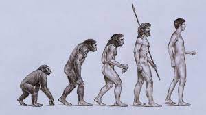Dazu gibt es erste aufgaben, die in die thematik der lektion einführen. Palaontologie Wer War Der Erste Aufrecht Gehende Mensch Welt