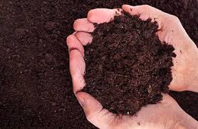 Canadian hemlock mulch $ 44.00; Topsoil Delivery To North Jersey Rockland County Orange County