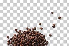 Coffee Bean Cafe Botanical Illustration Arabica Coffee Png Clipart Arabica Coffee Basil Beans Botanical Illustra Coffee Beans Cappuccino Cafe Green Coffee