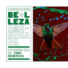 Catálogo de exposición Kawina by Revistas de la Casa de la Cultura  Ecuatoriana "BenjamÃn CarriÃ³n"