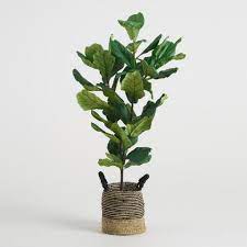 Faux Fiddle Leaf Fig Plant World Market