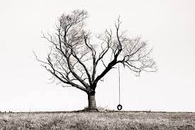 The Playmate Winter Tree And Tire Swing Black White Etsy Winter Trees Fine Art Photography Print Black And White Photographs