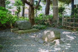 フォトライブラリー