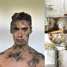 SFX MUA 🎬🎨 AIMEE ARANDA 🎨🎬