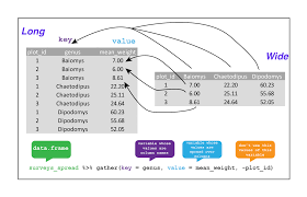 Manipulating Analyzing And Exporting Data With Tidyverse Ecology Lessons Data Survey Data