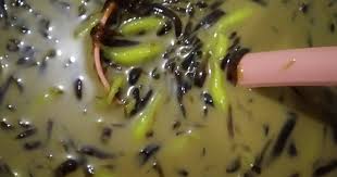 Cara memasak praktis dan mudah telah kami bagikan langkah penyajian resep es campur nutrijel mulai dari bahan yang diperlukan sampai matang siap konsumsi. 520 Resep Minuman Buka Puasa Es Cincau Hitam Tanpa Santan Enak Dan Sederhana Ala Rumahan Cookpad