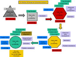 integrated crop management