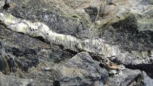 Asbestos What Is Asbestos And How Does It Cause Cancer