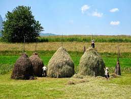 The Art Of The Romanian Haystack ~ Kuriositas
