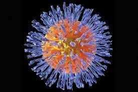 Herpes Virus Montagne Paesi
