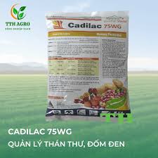 Cadilac 75WG