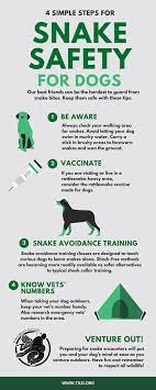 Learn How To Protect Your Dog From Snake Bites Txsi Dog Biting Training Snake Bites Dogs