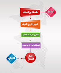 دليلك الشامل لتعلم البرمجة