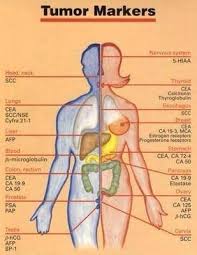 Tumor Markers Medical Knowledge Medical Nursing Notes
