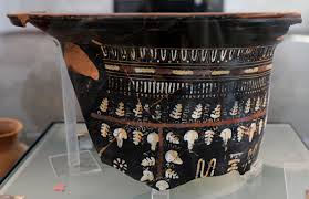 Image result for Dignathia