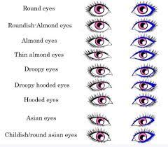 Hhs' tracking accountability in government grants system. Find The Best Makeup For You Every Girl Needs To Know This Eye Shape Chart Shape Chart Eye Shapes