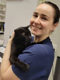 Veterinarian In Greensboro, NC 27455