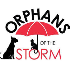191 airport road indiana, pa 15701 phone: Four Footed Friends Home Facebook