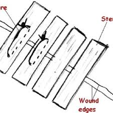 How many strips you need will depend on the size of the wound. Pdf Suture Steri Strip Combination For The Management Of Lacerations In Thin Skinned Individuals