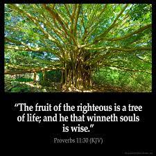 Or the fruits which the righteous bring forth under the influence of divine grace; Proverbs 11 30 Inspirational Image
