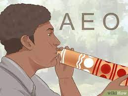 The most comprehensive how to play didgeridoo resource on the planet so many didgeridoo players and beginners struggle because what didgeridoo is best for beginners? 4 Ways To Play The Didgeridoo Wikihow