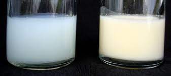 A week or two before my parental leave was over, i called my pediatrician to ask how to pump. Breast Milk Wikipedia