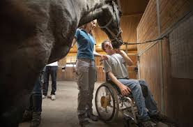 Luna schweiger überrascht mit ihrem besuch auf der fashion week in berlin alle! Reittherapie Verliert Unterkunft 30 Pferde Suchen Neue Stalle Rems Murr Kreis Stuttgarter Nachrichten