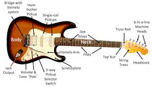 Check spelling or type a new query. Some Information About The Electric And Acoustic Guitar