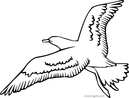 Choose the one to your liking and create your own story. Seagull Coloring Pages Coloringall