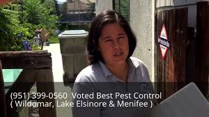 Maybe you would like to learn more about one of these? Pest Control Temecula Menifee Wildomar Main Sail Pest Control