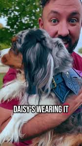 Fairy Saddle for Dogs: A Unique Pet Accessory