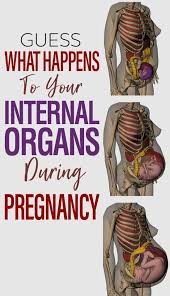 Pin On Pregnancy And Baby