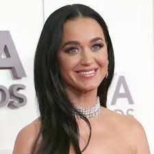 Katy Perry Wows Fans In A Stunning Metallic Silver Dress For Beyoncé's LA  Concert