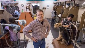 There has been an alarming increase in the rate of animal injuries and deaths at grooming facilities across the country. Groomer To Turn In Clippers After 48 Years