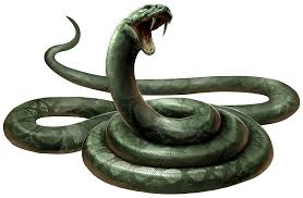 Nagini Harry Potter Wiki Fandom