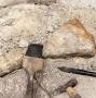 Profile Picture of Unraveling Human Origins: The Paleontological Legacy of Kenneth ... (@anthropologyreview.org) on Google