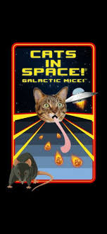 Pin On Cat And Mouse Game