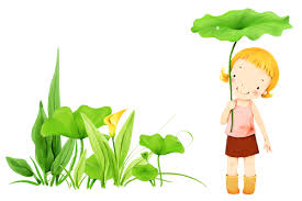 à¸à¸¥à¸à¸²à¸£à¸à¹à¸à¸«à¸²à¸£à¸¹à¸à¸ à¸²à¸à¸ªà¸³à¸«à¸£à¸±à¸ à¸£à¸¹à¸à¸à¸²à¸£à¹à¸à¸¹à¸à¸à¸£à¸£à¸¡à¸à¸²à¸à¸´ png