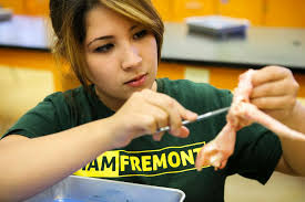 Bay Area lawmaker introduces bill to ban animal dissection in California  schools