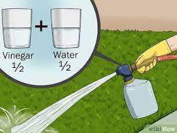 How to remove snow and ice from your artificial grass lawn. 3 Ways To Clean Artificial Grass Wikihow
