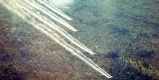 10 Things Every Veteran Should Know About Agent Orange Vantage Point