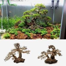Large Bonsai Driftwood Aquarium Tree Handcrafted Fish Tank Decoration Double Body Bonsai Tree Live Aquarium Plants Aquarium Driftwood Planted Aquarium