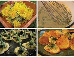 Dandelion Fritters Dandelion Recipes Foraged Food Fritters