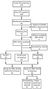 Utility Of Red Blood Cell Acetylcholinesterase Measurement