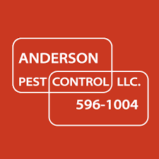 Brown marmorated stink bugs are a familiar seasonal pest to chicago homeowners. Anderson Pest Control Colorado Springs Premiere Pest Control Service